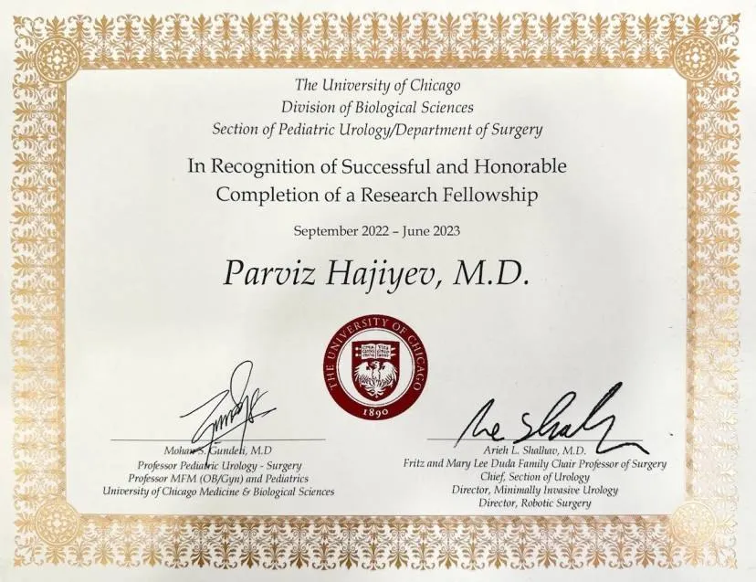 University of Chicago, research fellowship